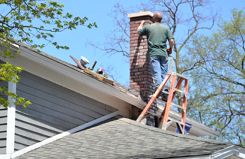 Chimney & Fireplace Inspections Services in Ridgewood, NJ